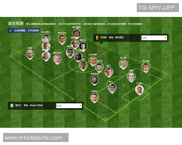 比利时与爱尔兰对决分析球队状态战术布局及球员表现全解析